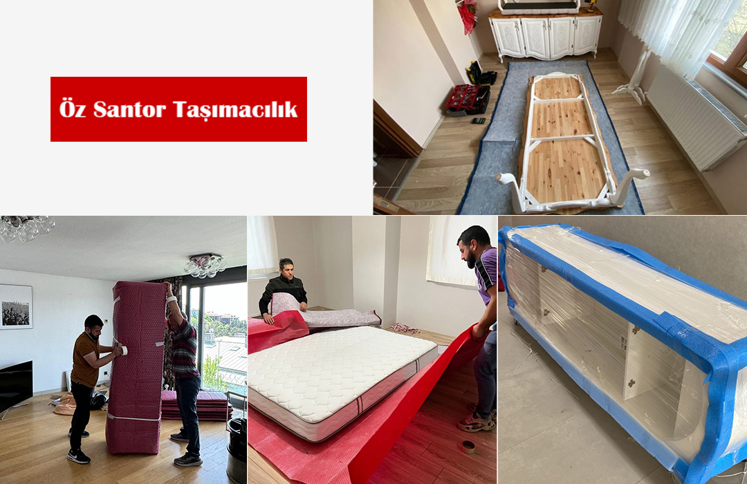 Özsantor Taşımacılık Hakkında