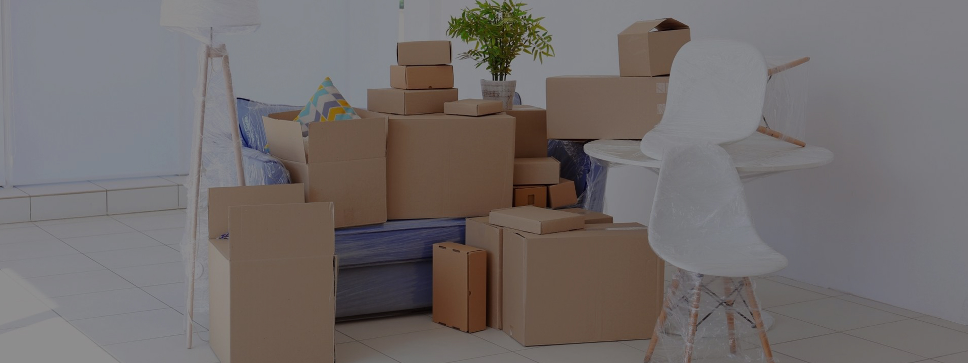 Profesyonel Paketleme ve Taşıma Hizmeti