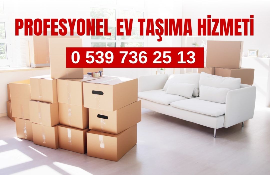 PROFESYONEL EV TAŞIMA